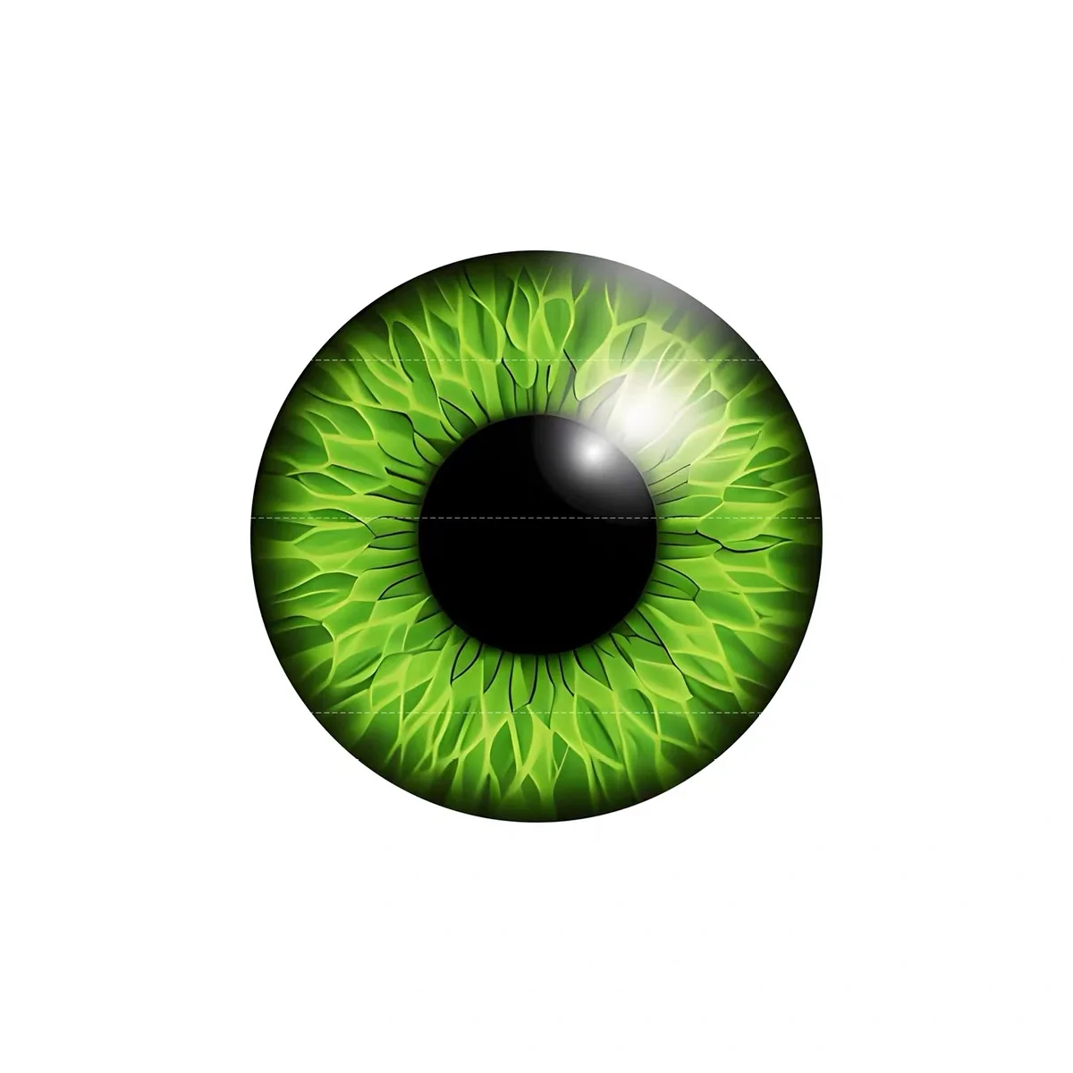 BJD SD Beast's Eye eyeball Pop - огляд і ціна Ethnic Fashion Model
